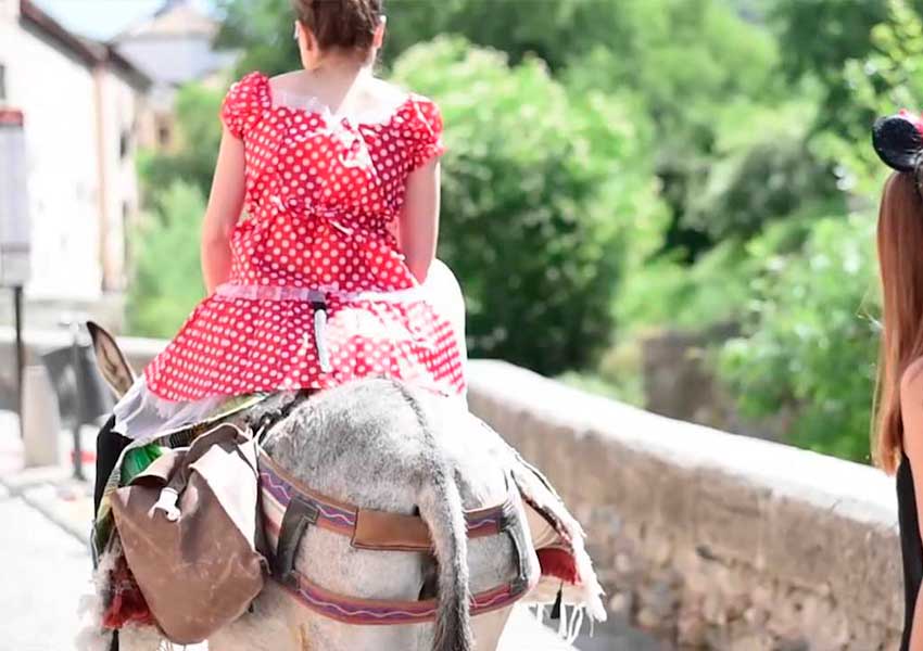 Burro Taxi para despedidas en Granada